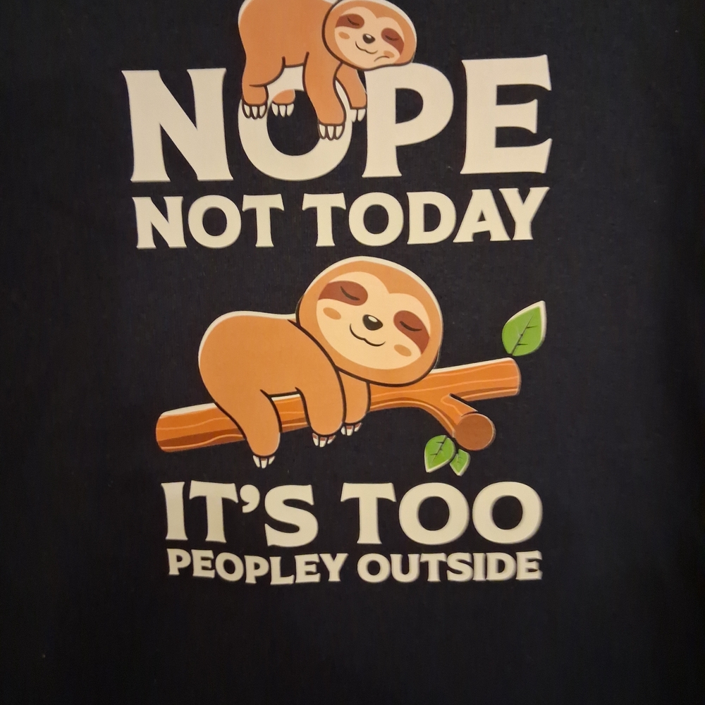 Gildan Black Sloth Graphic Tee - Picture 2 of 3